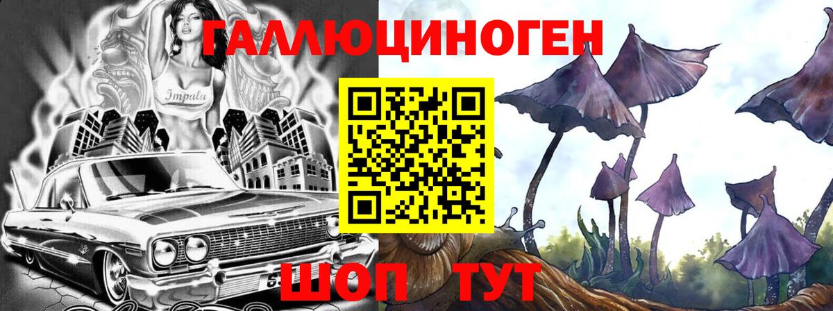 Псилоцибиновые грибы Psilocybine cubensis  Вход с VPN  Ачхой-Мартан 